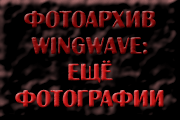 Фотоархив WINGWAVE: еще фотографии с этого репортажа